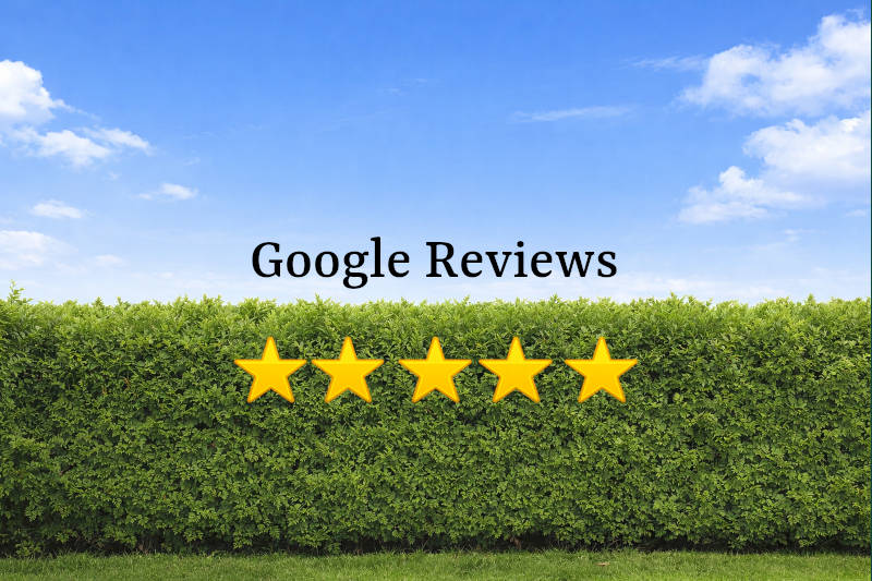 Google Reviews for Cedar Ontario