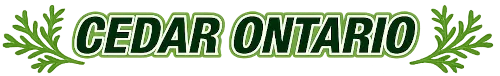 CEDAR ONTARIO